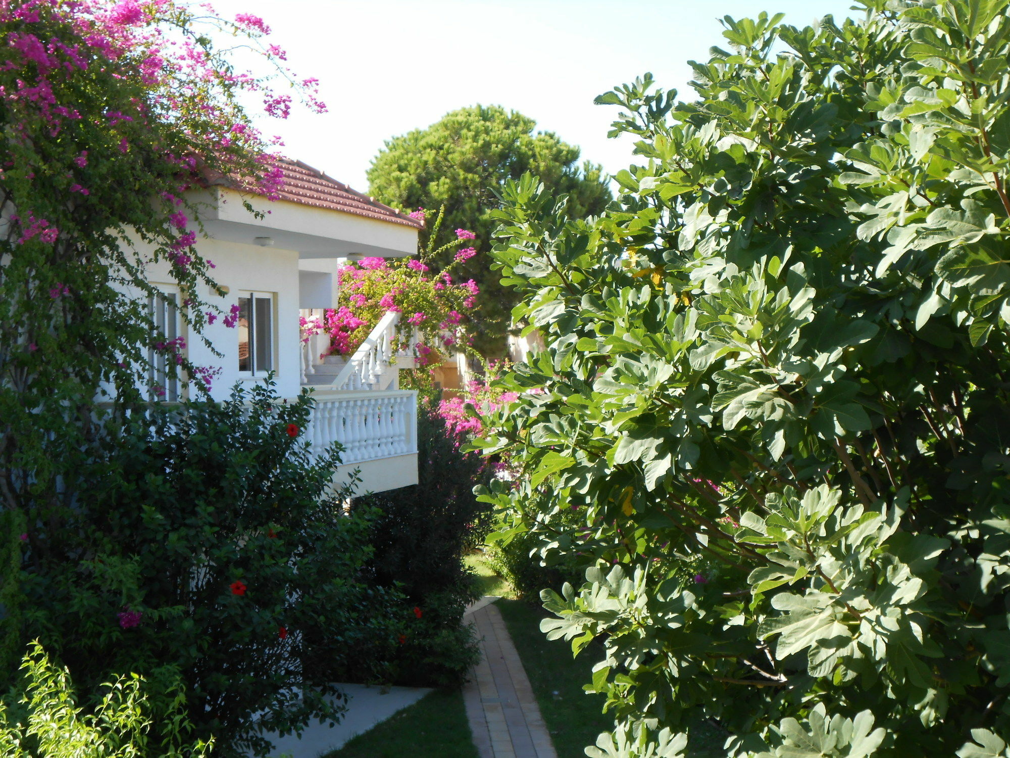 Helgas Paradise Hotel Afantou Exterior foto